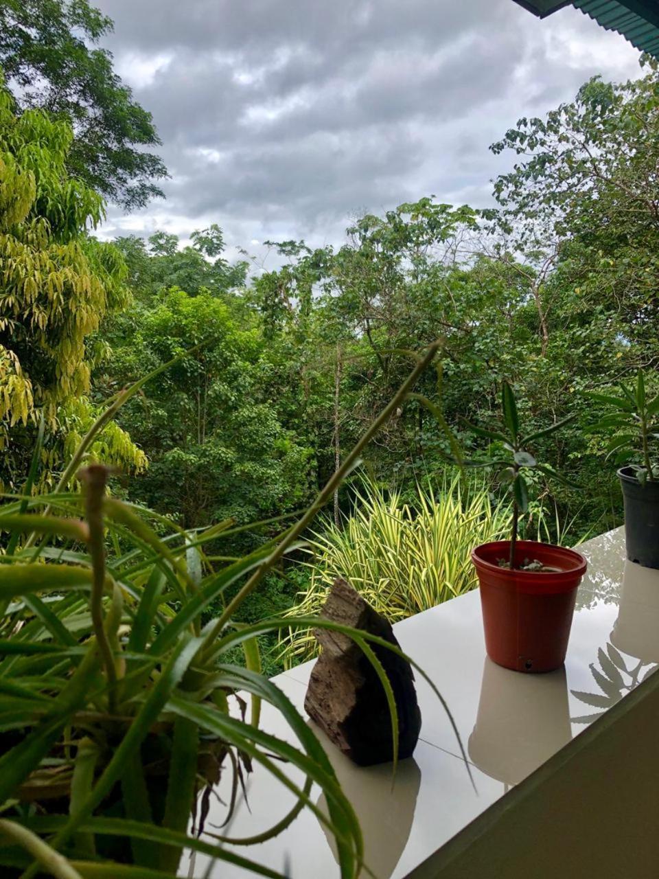 San Rafael Ecolodge La Tigra  Екстериор снимка